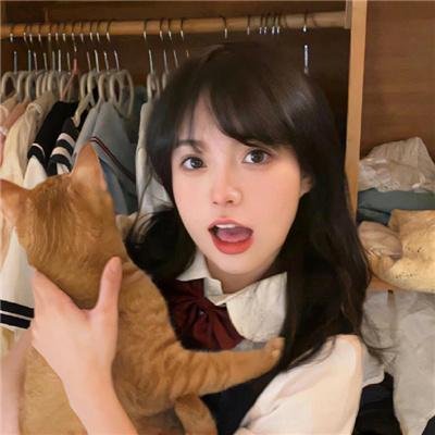 白鹭